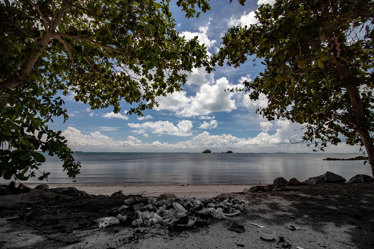 Is Anthropocentrism Still Relevant in Environmental Ethics?